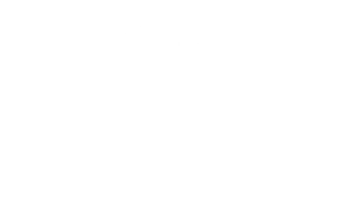 Guns N Roses