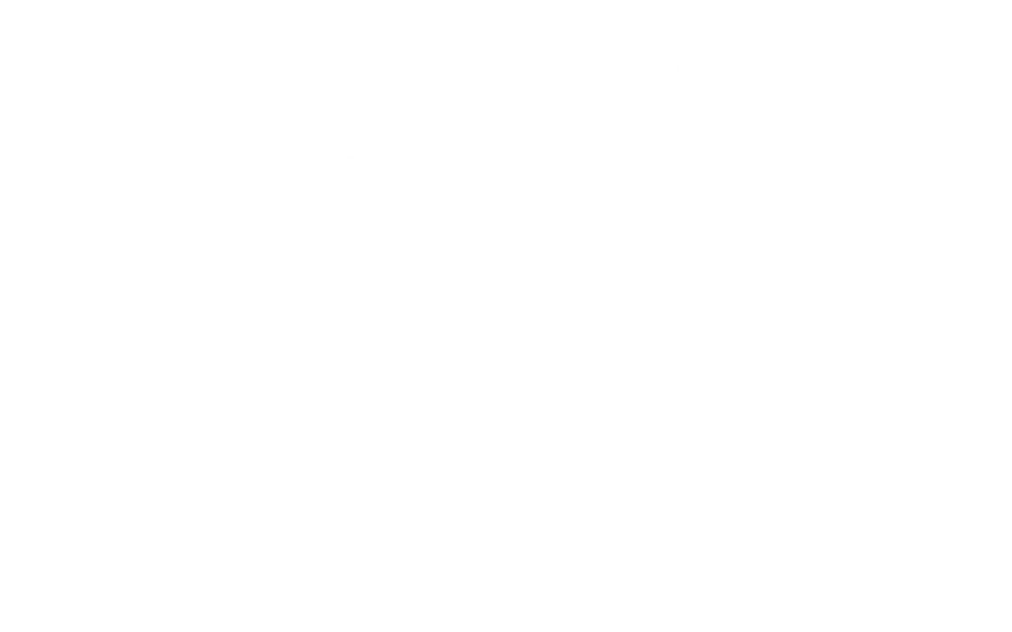 Sex Pistols