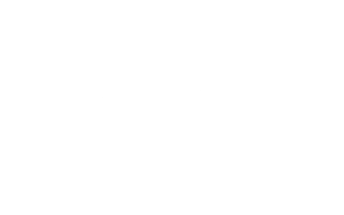 Stone Temple Pilots