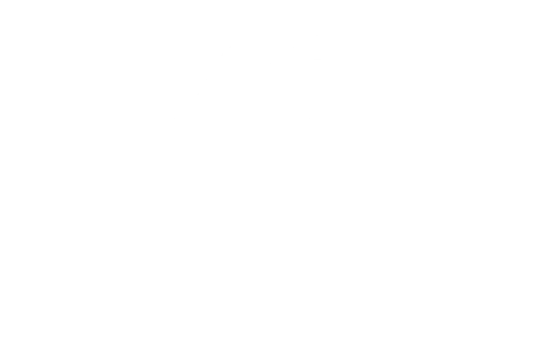 The Rolling Stones
